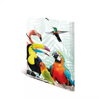 HERMA Tropical clique – aplankalas dokumentams