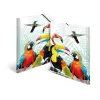 HERMA Tropical clique – aplankalas dokumentams