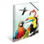 HERMA Tropical clique – aplankalas dokumentams