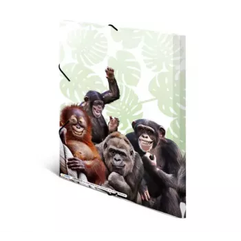 HERMA Monkey gang 19960 – aplankalas dokumentams A4