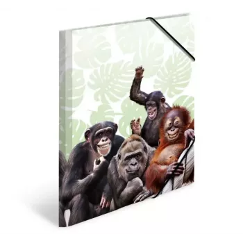 HERMA Monkey gang 19960 – aplankalas dokumentams A4