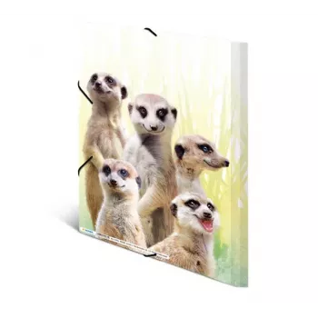 HERMA Meerkat troop 19961 aplankas dokumentams A4
