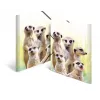 HERMA Meerkat troop 19961 aplankas dokumentams A4