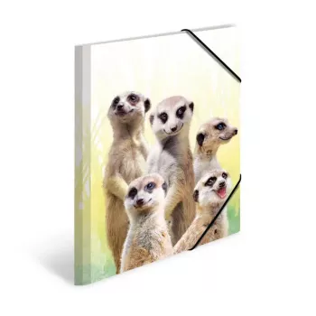 HERMA Meerkat troop 19961 aplankas dokumentams A4