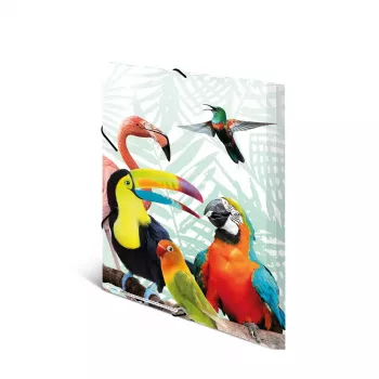 Segtuvas HERMA Tropical Clique A3