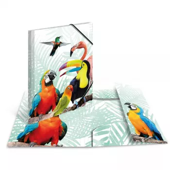 Segtuvas HERMA Tropical Clique A3