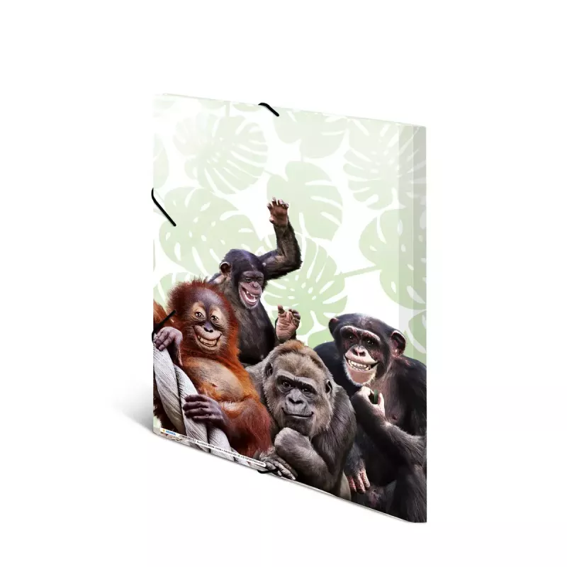 Įprastas segtuvas HERMA Monkey gang Polipropilenas A3