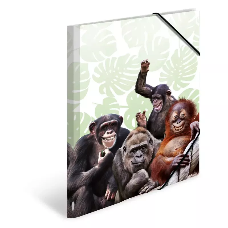 Įprastas segtuvas HERMA Monkey gang Polipropilenas A3