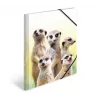 HERMA Meerkat troop – klasikinis aplankalas failams