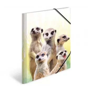 HERMA Meerkat troop – klasikinis aplankalas failams