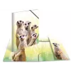 HERMA Meerkat troop – klasikinis aplankalas failams