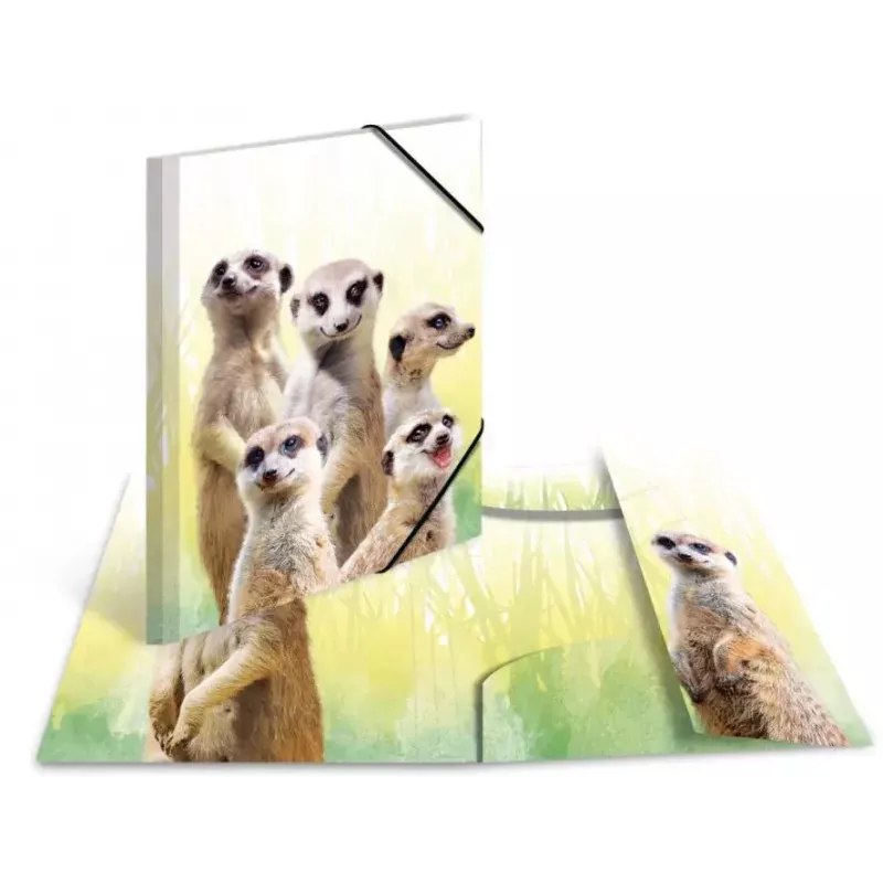 HERMA Meerkat troop – klasikinis aplankalas failams