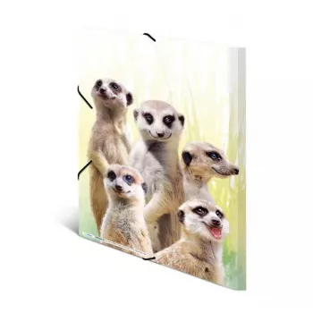 HERMA Meerkat troop – klasikinis aplankalas failams