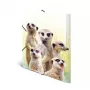HERMA Meerkat troop – klasikinis aplankalas failams