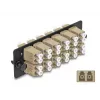 DeLOCK 66932 šviesolaidžio adapterių skydelis LC Duplex OM1 OM2 12 prievadų smėlio spalvos
