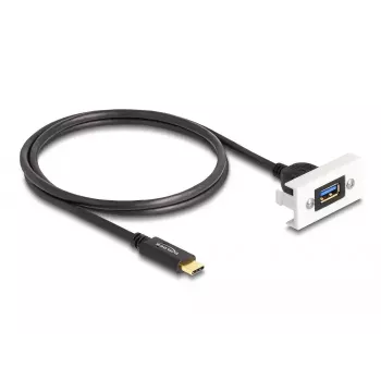 DeLOCK Easy 45 modulis SuperSpeed USB 10 Gbps USB Type-A moteriškas į USB Type-C vyriškas