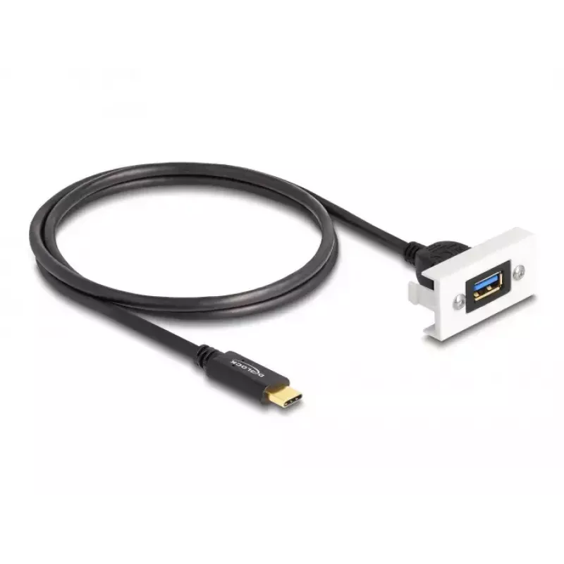 DeLOCK Easy 45 modulis SuperSpeed USB 10 Gbps USB Type-A moteriškas į USB Type-C vyriškas