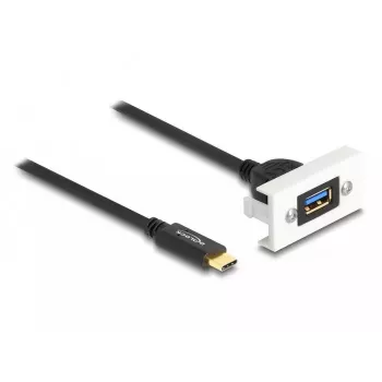 DeLOCK Easy 45 modulis SuperSpeed USB 10 Gbps USB Type-A moteriškas į USB Type-C vyriškas