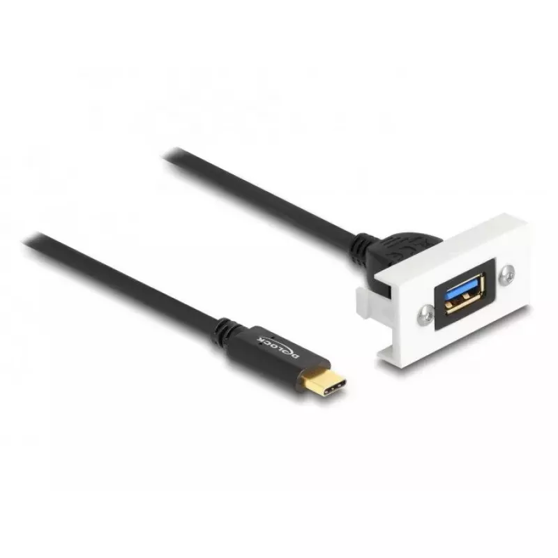 DeLOCK Easy 45 modulis SuperSpeed USB 10 Gbps USB Type-A moteriškas į USB Type-C vyriškas