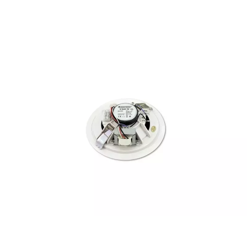 Kolonėlė 2 krypčių Omnitronic CSE-5 balta 6 W