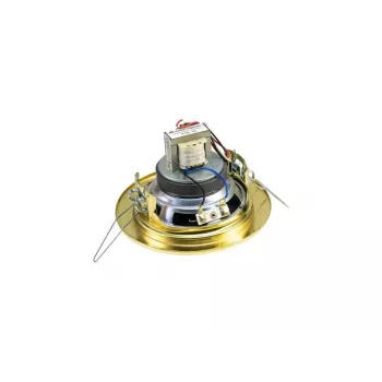 2 krypčių garsiakalbis Omnitronic 80710207 Gold Laidinis 6 W