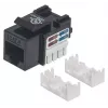 Intellinet Keystone Jack, Cat6, UTP, Punch-down, Juodas, Plokščias
