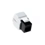 Keystone Jack ACT CAT5E neekranuotas beįrankis baltas TD5011