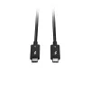 Lindy 1m Thunderbolt 5 kabelis, 80Gbps, pasyvus, kištukas-kištukas