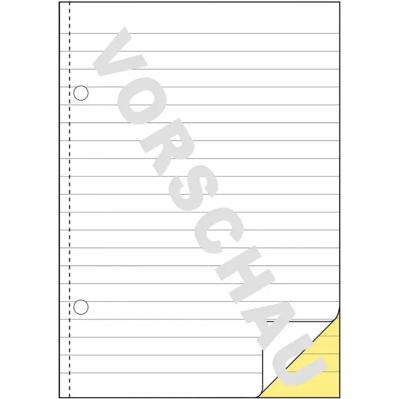 Apskaitos knyga A5 Avery 1729 (2 vnt. pakuotė)