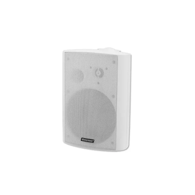2 krypčių garsiakalbis Omnitronic 80710531 40 W