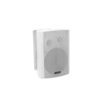 2 krypčių garsiakalbis Omnitronic 80710531 40 W