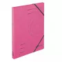 Aplankalas Herlitz 50023745 Kartoninis Fuchsia A4