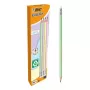 Pieštukų rinkinys TEKA BIC Evolution HB, šešiakampiai mediniai pieštukai, 12 vnt., įvairių spalvų