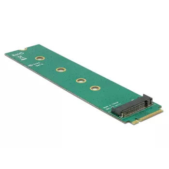 Vidinis M.2 adapteris DeLOCK 65699