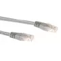 ACT pilkas 0,25 m LSZH U/UTP CAT6A jungiamasis kabelis su RJ45 jungtimis