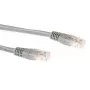 ACT pilka 20 metrų LSZH U/UTP CAT6A jungiamasis laidas su RJ45 jungtimis