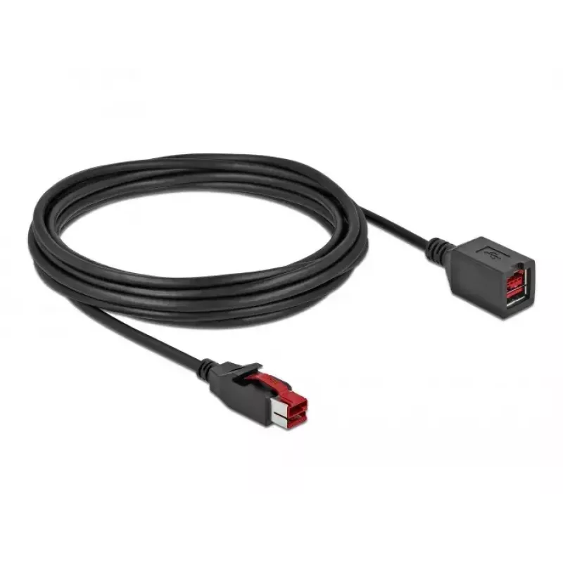 Prailginamasis maitinamas USB kabelis DeLOCK 85989 24 V 5 m