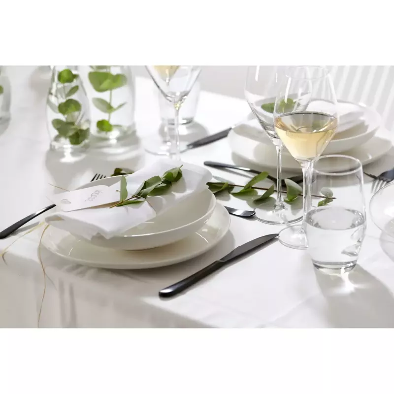 Stalo indų rinkinys Ritzenhoff & Breker Skagen 12 vnt.