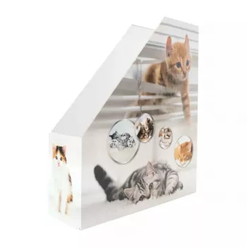 HERMA Stehsammler Katzen A4 geltona – dokumentų dėklas su katės motyvu