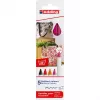 Feltiniai rašikliai Edding 4600 rinkinys – 5 spalvos (Juoda, Tamsiai raudona, Oranžinė, Rožinė, Raudona), 1 mm apvalus antgalis