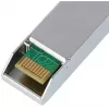 SFP28 25GBASE-SR šviesolaidinis siųstuvas-imtuvas BlueOptics S26361-F4055-L701 100 m