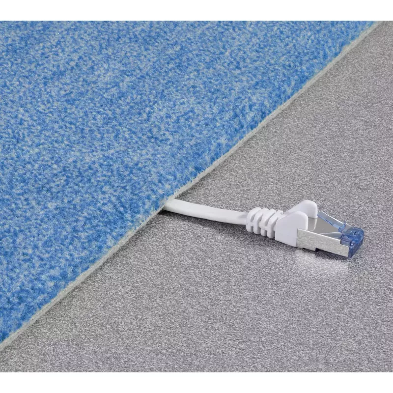 Tinklo kabelis Renkforce RF-4149837 0,5 m Cat6a U/FTP
