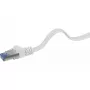 Tinklo kabelis Renkforce RF-4149837 0,5 m Cat6a U/FTP