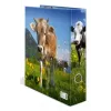 Segtuvas A4 Herma 20140, kartoninis, vienetinis, įvairiaspalvis