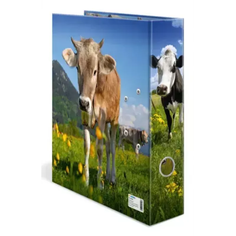 Segtuvas A4 Herma 20140, kartoninis, vienetinis, įvairiaspalvis