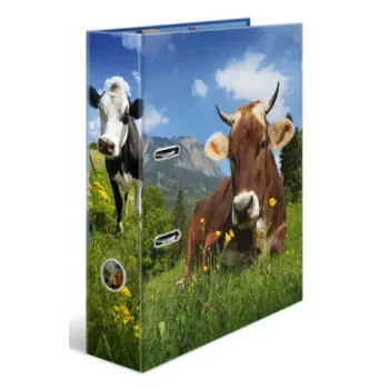 Segtuvas A4 Herma 20140, kartoninis, vienetinis, įvairiaspalvis