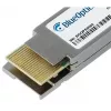 Optimodulis BlueOptics PAN-QSFPDD-400GBASE-SR8-BO QSFP-DD 400 Gbit/s 850 nm LC 100 m