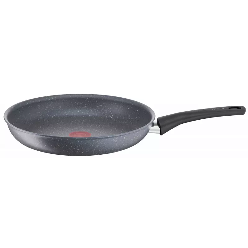Universali keptuvė Tefal Healthy Chef G15002 Apvali 20 cm Pilka