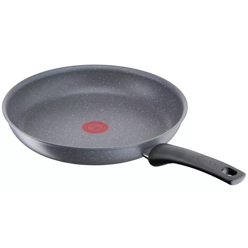 Universali keptuvė Tefal Healthy Chef G15002 Apvali 20 cm Pilka