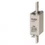 Siemens 3NA3010 saugiklis aukštai įtampai, 1 vnt.